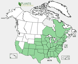 Asclepias Tuberosa Map